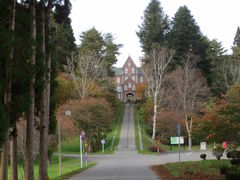 mihǒVg[̐C@igsXgC@jւ̓eʐ^1