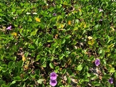 [Â̌ÉFr[`ւ̓eʐ^1