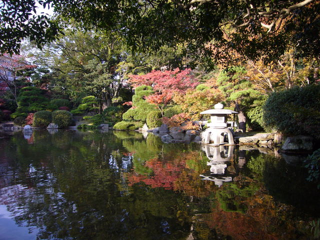 �r�ɉf�����g�t_�F�������