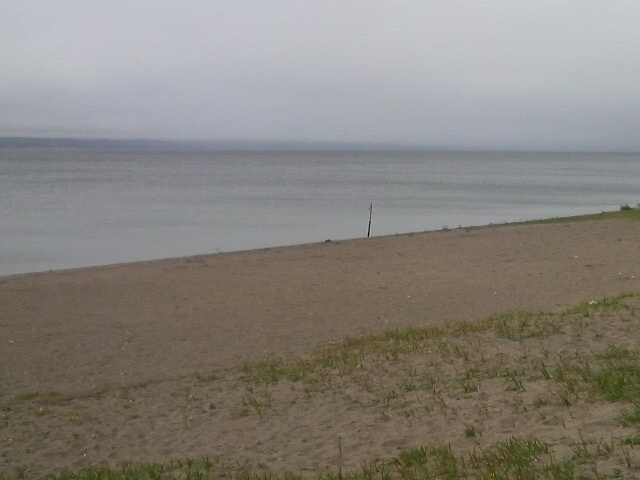 Ƃ񂳂̏쌴Όΐ̓eʐ^1