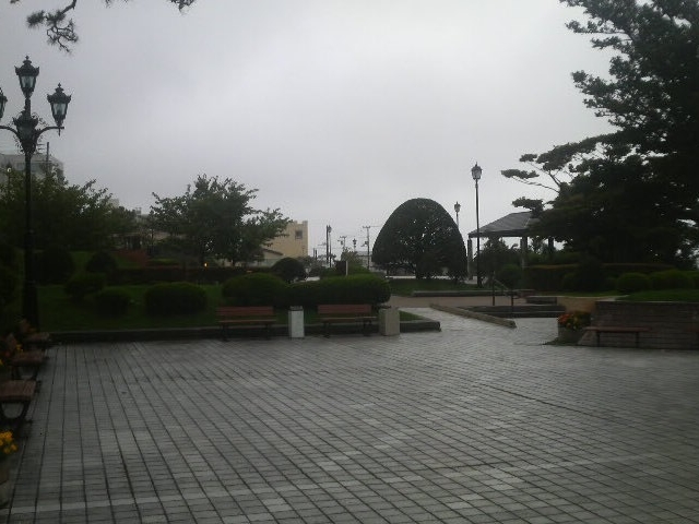 ��������
_��������