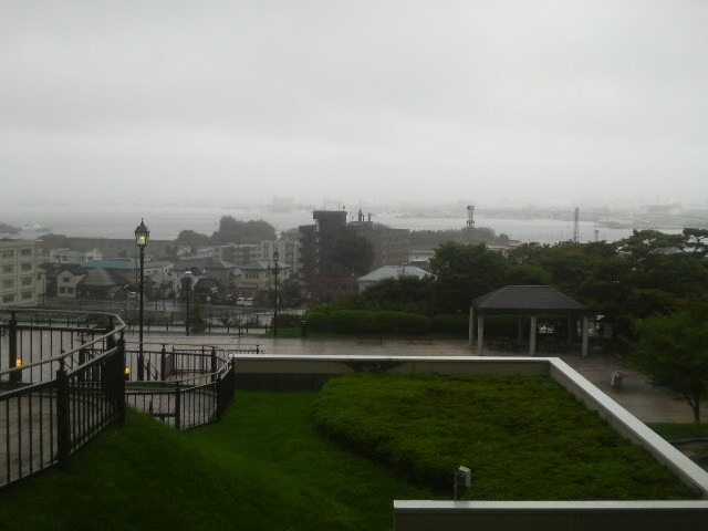 ��������
_��������