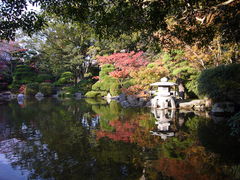 �X�k�v����̗F��������ւ̓��e�ʐ^1