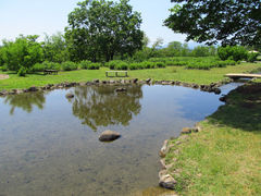 多摩川中央公園の写真一覧 じゃらんnet 多摩川中央公園の写真一覧 じゃらんnet