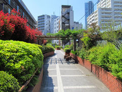 [oXeBA04̓Γւ̓eʐ^1