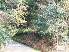 まっぴーさんの南公園（福岡県福岡市）の投稿写真1
