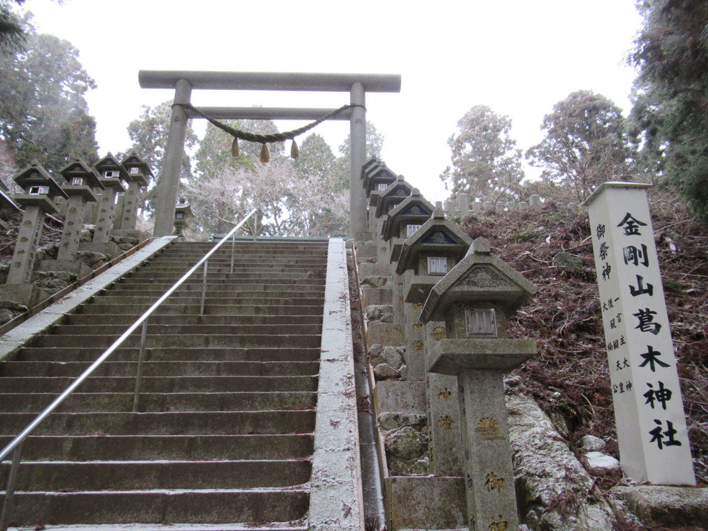 河内松原駅周辺の神社 神宮 寺院ランキングtop10 じゃらんnet