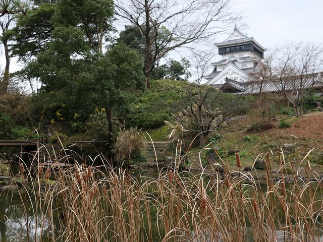 �뉀���猩���V��t�B_���q��뉀