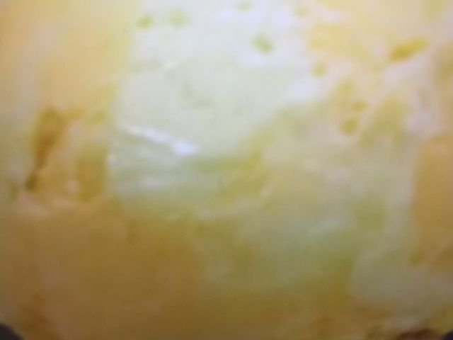 }񂳂̃T[eBACXN[ ہ[ƍbqX̓eʐ^1