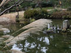 Yanwenlȉq뉀ւ̓eʐ^1