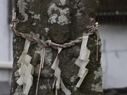 Yanwenlǐbh{̓eʐ^5