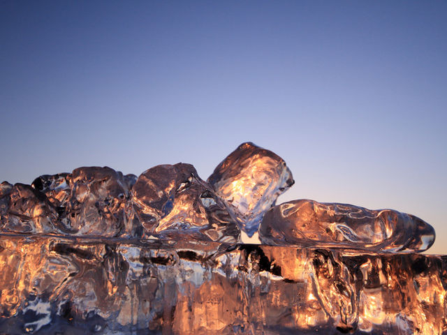 ������w�i�ɎB��܂���_�T�����C�v���f���[�X