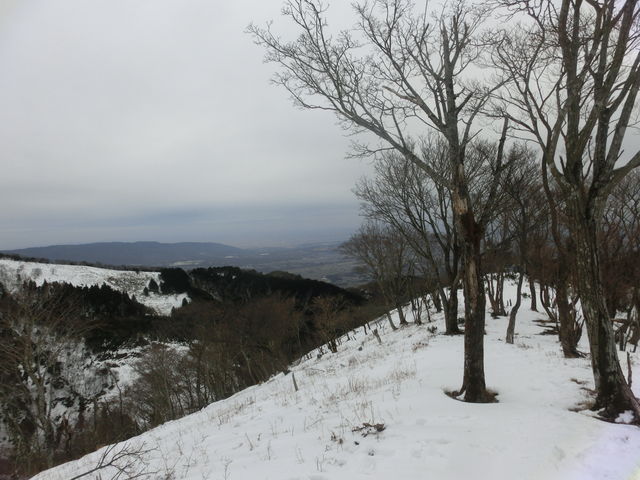 ܂܂ς񂾂̗x̓eʐ^4