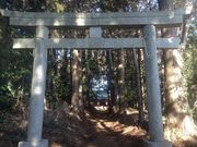 �Ё[����񂳂�̎O�֑�_�̓��e�ʐ^1