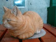 L^J̓̉w C ӂƂ̓eʐ^1