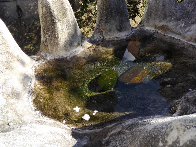 L悤ȃIuWFNg̐ʂɍ̉Ԃт炪_V