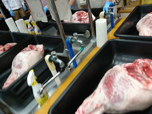 �������Ɉڂ��āA���悢��d���݁I_�V�����L���e�B�G�c��