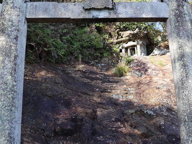 ��̏�ɂ���܂��B_���R����