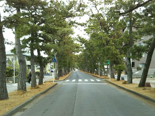 �����͎ԓ��ł�_�����C�������؁i�É����l���s�j