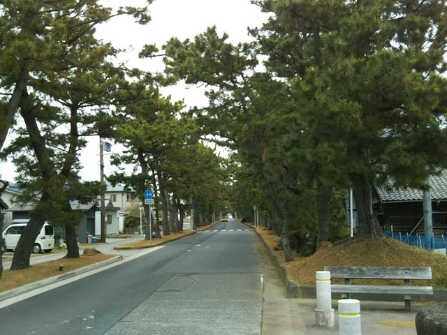 �����͎ԓ��ł�_�����C�������؁i�É����l���s�j