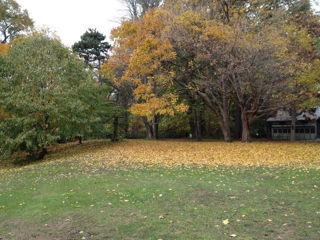 �g�t����_�k�C����w�A����