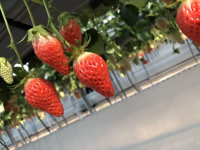 �������������_�݂̂�_��