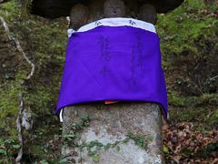 Yanwenli����̍��R�����ւ̓��e�ʐ^1