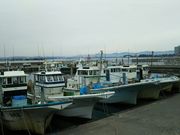 ��������񂳂�̕��㋙�`�̓��e�ʐ^1