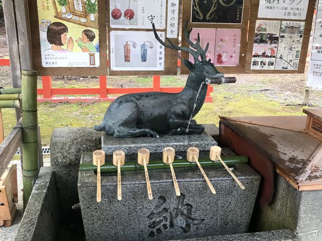 �萅��_�匴��_��