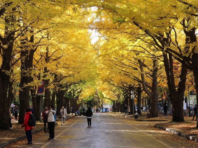 �����傤����_�k��C�`���E����