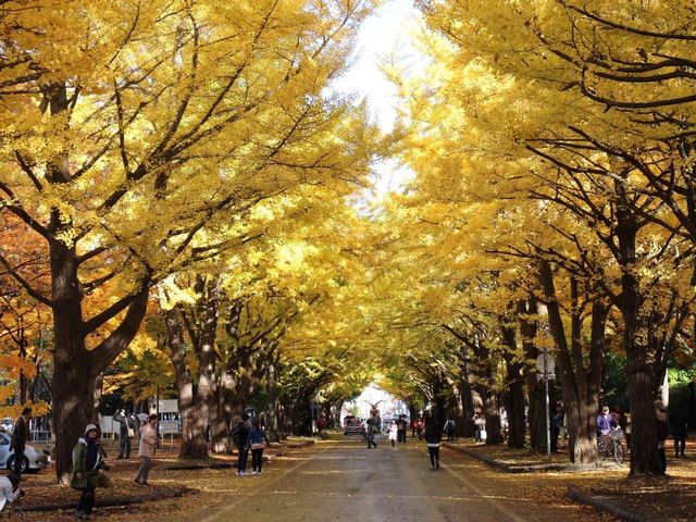 ���Ȃ��物���̃g���l��_�k��C�`���E����