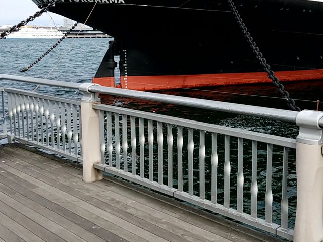 ���h�ł�_���{�X�D�X���