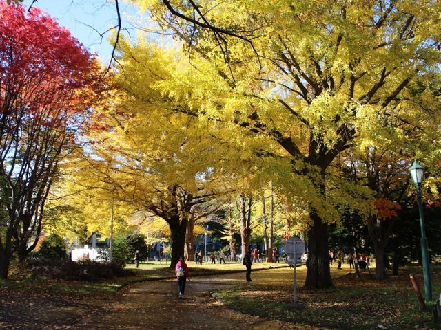 �H�w���A_�k�C����w