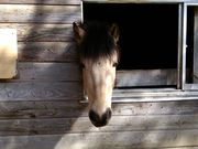 ς炳̍gtؑ]nq̓eʐ^3