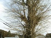 񂳂̏aɉƕ揊̓eʐ^4