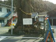 񂳂̏aɉƕ揊̓eʐ^5