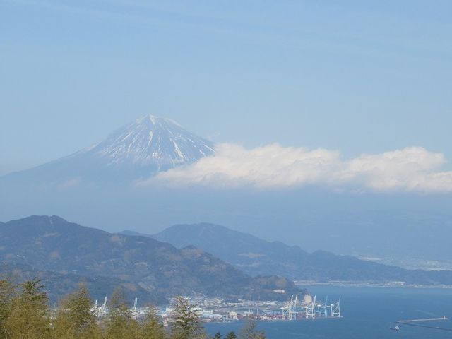 ���e���X���ʂ̓W�]����x�m�R������_���{�����e���X