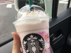 Ђs̃X^[obNXR[q[ ͌aXւ̓eʐ^1