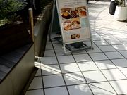 肳tables cook & LIVING HOUSE̓eʐ^1