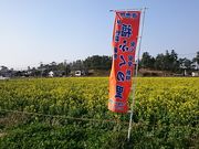 񂿂񂳂̃p[X|bg@R[X̓eʐ^1