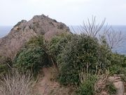 񂿂񂳂̑厩R̓eʐ^1