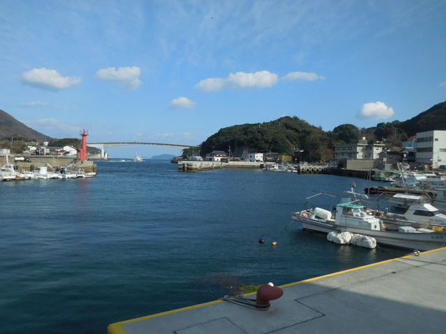 LOTTY̓̉w ֊C̓eʐ^1