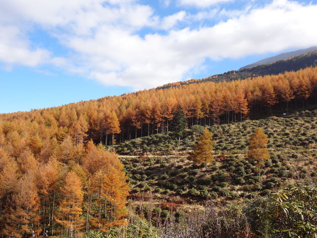 Hɂ́AXP[̑傫ȃJ}cgt_ԍVNiQ