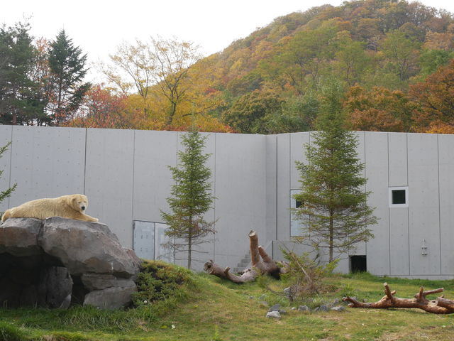 �z�b�L���N�O�}��_�~�R������