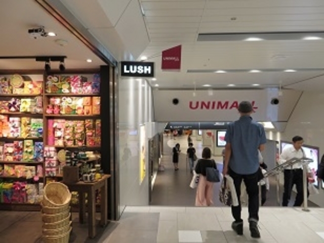 ���j���[��_���j���[��