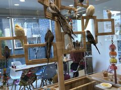 邳̂ƂJtFS֋ւ̓eʐ^1