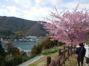 LOTTY����̏�R���j�����̓��e�ʐ^1