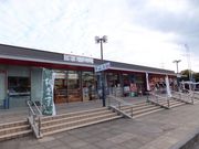 ڂ炳̋{T[rXGAij̓eʐ^1