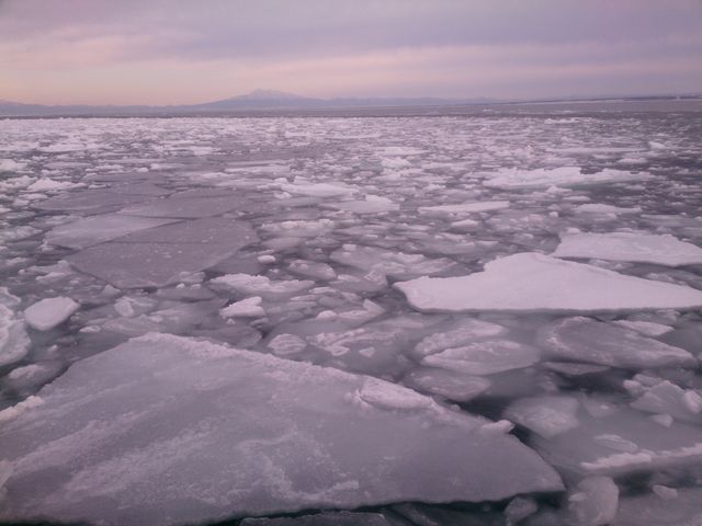 �`���o���Ƃ���_�I�z�[�c�N�C�̗��X