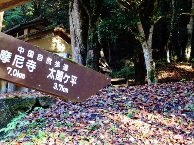 ���ǁ[����̒������R�����i���挧�q�����j�̓��e�ʐ^1